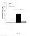 Fig. 11 - Use of ginsenoside M1 for treating lupus nephritis