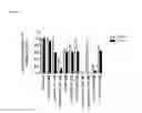 Fig. 05 - Pharmaceutical combination comprising a CIP2A silencing agent for use in the treatment of a hyperproliferative disorder, preferably one with impaired P53 function