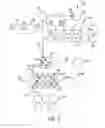 Fig. 04 - Methods of Benchmarking Wellness with a Stable Reactive Oxygen Species Solution