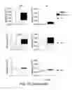 Fig. 04 - Methods for off-the-shelf-tumor immunotherapy using allogeneic T-cell precursors