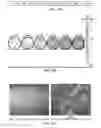 Fig. 08 - METHODS OF ENHANCING STEM CELL ENGRAFTMENT