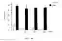 Fig. 02 - Attenuated reovirus