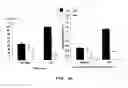Fig. 06 - Attenuated reovirus