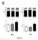 Fig. 06 - Therapeutic molecules and deviates for CRC