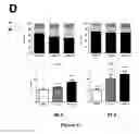 Fig. 07 - Therapeutic molecules and deviates for CRC
