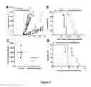 Fig. 08 - Therapeutic molecules and deviates for CRC