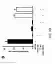 Fig. 06 - Syndecan peptides and polypeptides and uses thereof