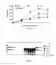 Fig. 03 - Methods of delivering factor VIII encoding nucleic acid sequences