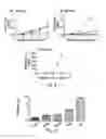 Fig. 06 - Methods of delivering factor VIII encoding nucleic acid sequences