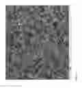Fig. 04 - Agent for capturing tumor cells and methods of use thereof