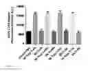 Fig. 09 - Agent for capturing tumor cells and methods of use thereof
