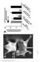 Fig. 16 - Agent for capturing tumor cells and methods of use thereof
