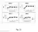 Fig. 22 - Compositions, methods and uses for dengue virus serotype-4 constructs