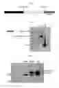 Fig. 02 - EXPRESSION SYSTEMS
