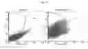 Fig. 08 - EXPRESSION SYSTEMS