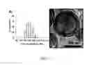 Fig. 05 - Lipid vesicle compositions and methods of use