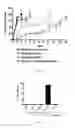 Fig. 07 - Lipid vesicle compositions and methods of use