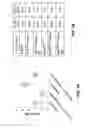 Fig. 10 - Synthetic hapten carrier compositions and methods