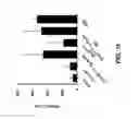 Fig. 14 - Synthetic hapten carrier compositions and methods