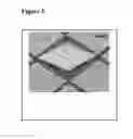 Fig. 05 - Method for treating infectious diseases using emissive energy