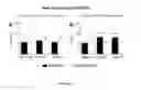Fig. 06 - BIOCERAMIC COMPOSITIONS AND BIOMODULATORY USES THEREOF