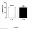 Fig. 41 - BIOCERAMIC COMPOSITIONS AND BIOMODULATORY USES THEREOF