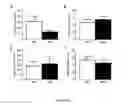 Fig. 43 - BIOCERAMIC COMPOSITIONS AND BIOMODULATORY USES THEREOF