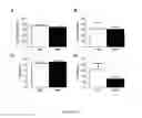 Fig. 44 - BIOCERAMIC COMPOSITIONS AND BIOMODULATORY USES THEREOF