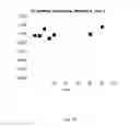 Fig. 04 - Lyophilized preparation of cytotoxic dipeptides