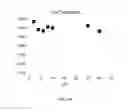 Fig. 06 - Lyophilized preparation of cytotoxic dipeptides