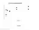 Fig. 17 - Lyophilized preparation of cytotoxic dipeptides