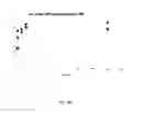 Fig. 18 - Lyophilized preparation of cytotoxic dipeptides