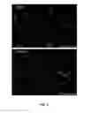 Fig. 07 - P97-polynucleotide conjugates