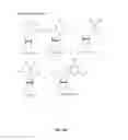 Fig. 10 - P97-polynucleotide conjugates