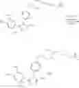Fig. 241 - Targeted therapeutics