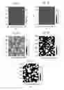 Fig. 03 - Cationic polysaccharides for delivery of phosphoinositides to cells for therapeutic purpose