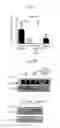 Fig. 08 - Cationic polysaccharides for delivery of phosphoinositides to cells for therapeutic purpose