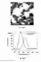 Fig. 29 - Bis-polymer lipid-peptide conjugates and nanoparticles thereof