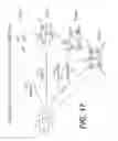 Fig. 19 - COMPLEXING AGENTS FOR COMPOSITIONS CONTAINING INCLUSION COMPLEXES