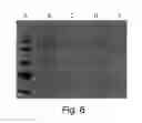 Fig. 06 - POLYALKYLENE POLYMER COMPOUNDS AND USES THEREOF