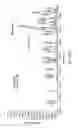 Fig. 41 - Hydrazinyl-pyrrolo compounds and methods for producing a conjugate