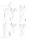 Fig. 78 - Hydrazinyl-pyrrolo compounds and methods for producing a conjugate