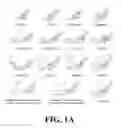 Fig. 02 - EXTRACELLULAR TARGETED DRUG CONJUGATES