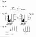Fig. 02 - Compositions for the inactivation of virus replication and methods of making and using the same