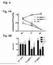 Fig. 04 - Compositions for the inactivation of virus replication and methods of making and using the same