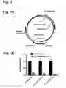 Fig. 08 - Compositions for the inactivation of virus replication and methods of making and using the same