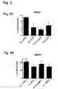 Fig. 11 - Compositions for the inactivation of virus replication and methods of making and using the same