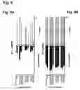 Fig. 12 - Compositions for the inactivation of virus replication and methods of making and using the same