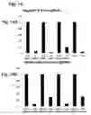 Fig. 19 - Compositions for the inactivation of virus replication and methods of making and using the same