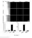 Fig. 45 - Multicolored pH-activatable fluorescence nanoplatform